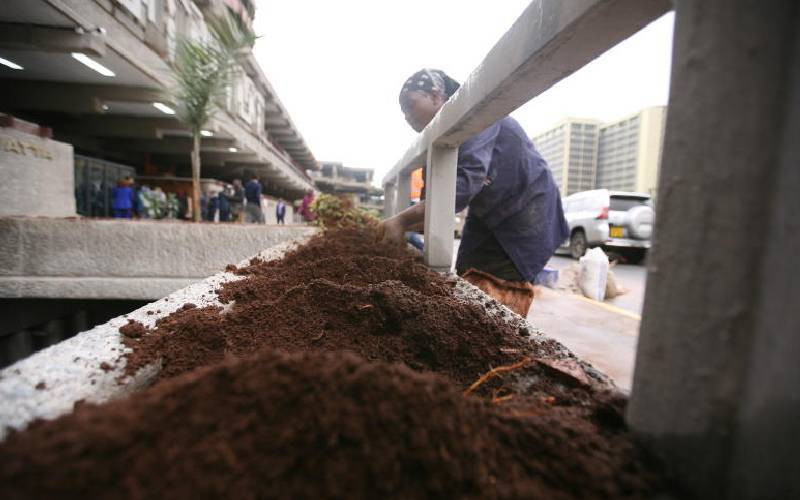 Mozambique urged to embrace climate-resilient buildings