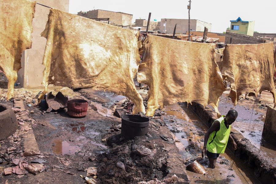 Mozambique targets leather sector as a strategic export industry